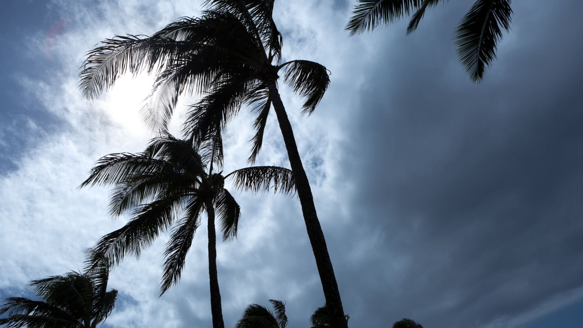 hurricane prep in hardee county florida